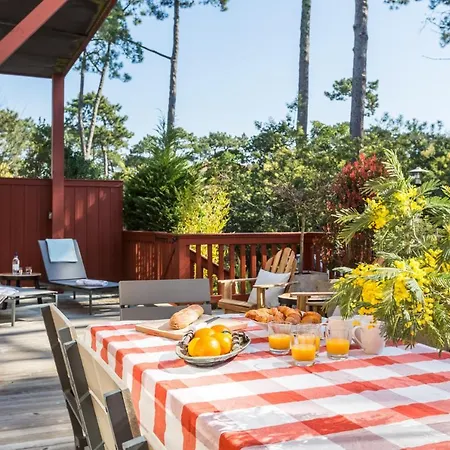 Apartment Havre De Paix Sous Les Pins, Au Coeur Des Abatilles, Avec Sa Superbe Terrasse *